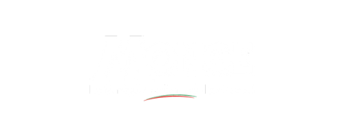 Logo 1